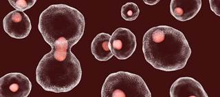 When combined with cytology, UroSEEK detected 95% of patients who developed bladder cancer When combined with cytology, UroSEEK detected 95% of patients who developed bladder cancer