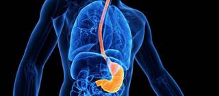 Survival no better with second-line pembrolizumab than paclitaxel for gastric, gastro-esophageal cancer Survival no better with second-line pembrolizumab than paclitaxel for gastric, gastro-esophageal cancer
