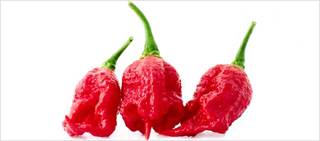 The 'Carolina Reaper' has been dubbed the hottest chili pepper in the world The 'Carolina Reaper' has been dubbed the hottest chili pepper in the world