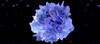 Personalized Cancer Vaccine Looks Promising in Early Study Personalized Cancer Vaccine Looks Promising in Early Study