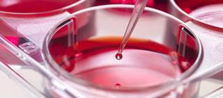 Clinics claim unapproved therapies can treat number of diseases and conditions, including ALS and cancer Clinics claim unapproved therapies can treat number of diseases and conditions, including ALS and cancer