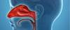 Pediatric Chronic Rhinosinusitis: Treatment Options to Consider Pediatric Chronic Rhinosinusitis: Treatment Options to Consider