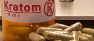 Kratom is an herbal supplement that shares structural similarities with opioid analgesics Kratom is an herbal supplement that shares structural similarities with opioid analgesics