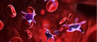 Mulpleta is a thrombopoietin receptor agonist Mulpleta is a thrombopoietin receptor agonist