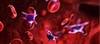 Caplacizumab Cuts Time to Platelet Count Normalization in aTTP Patients Caplacizumab Cuts Time to Platelet Count Normalization in aTTP Patients