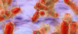 Rifampin has advantage of being a shorter, single-drug regimen that is palatable for children Rifampin has advantage of being a shorter, single-drug regimen that is palatable for children