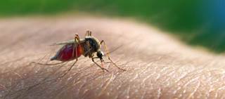 Arakoda is the preventive antimalarial approved in almost 2 decades Arakoda is the preventive antimalarial approved in almost 2 decades