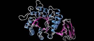 Galafold is a pharmacological chaperone of alpha-galactosidase A Galafold is a pharmacological chaperone of alpha-galactosidase A