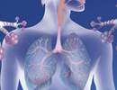Biologic Therapy Selection for Severe Asthma: Factors to Consider Biologic Therapy Selection for Severe Asthma: Factors to Consider