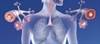 Biologic Therapy Selection for Severe Asthma: Factors to Consider Biologic Therapy Selection for Severe Asthma: Factors to Consider