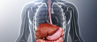 Nonselective beta-blocker monotherapy appears to reduce the risk of first variceal bleeding Nonselective beta-blocker monotherapy appears to reduce the risk of first variceal bleeding
