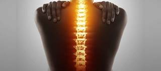 TM is a debilitating autoimmune disease that destroys parts of the spinal cord TM is a debilitating autoimmune disease that destroys parts of the spinal cord