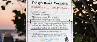 Red tide can cause symptoms such as breathing problems as well as skin and throat irritation. Red tide can cause symptoms such as breathing problems as well as skin and throat irritation.