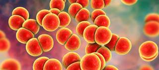 This novel treatment has been granted Fast Track designation by the Food and Drug Administration This novel treatment has been granted Fast Track designation by the Food and Drug Administration