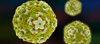 The researchers found no serious adverse events were reported among the 30 patients exposed to fluoxetine The researchers found no serious adverse events were reported among the 30 patients exposed to fluoxetine