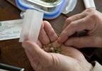 Experts Offer Tips on Integrating Medical Marijuana Into Geriatric Practice Experts Offer Tips on Integrating Medical Marijuana Into Geriatric Practice