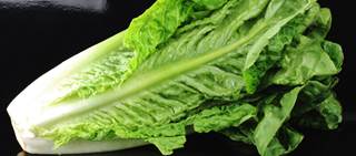 So far, 32 people across 11 states have become sick with <i>E. coli</i> after eating romaine lettuce So far, 32 people across 11 states have become sick with <i>E. coli</i> after eating romaine lettuce